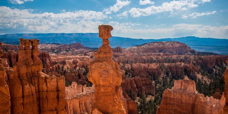 2024年终极购物指南:什么最好?这5款好物推荐让你告别选择困难