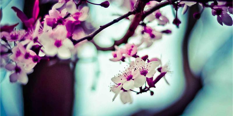 2024电竞显示器终极对决：Fast IPS与OLED谁主沉浮？高刷与画质全解析