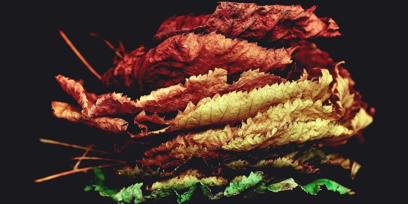 iPhone 15 Pro Max vs 三星S23 Ultra：旗舰手机相机终极对决，谁才是2023年拍照之王？