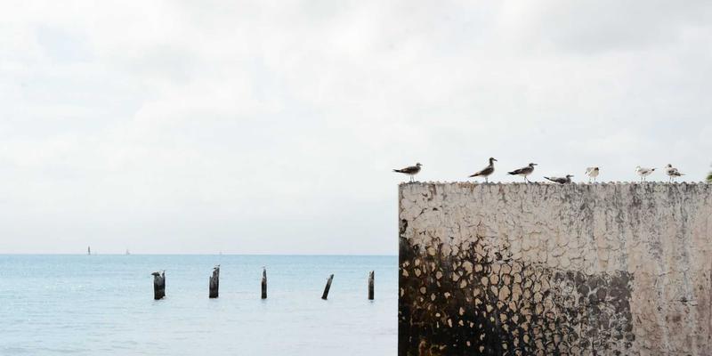 万元级扫地机器人是智商税还是真香?深度拆解清洁力、智能与耐用性