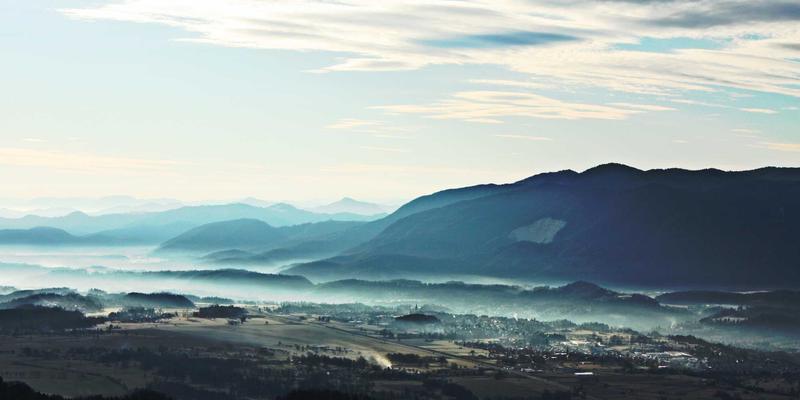 专业级 vs 消费级显示器终极对决:你的钱该花在色彩、刷新率还是HDR上?