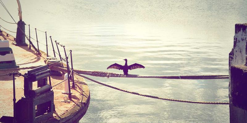 产品评测34 | 告别智商税!这份高性价比好物推荐清单,让你每一分钱都花在刀刃上