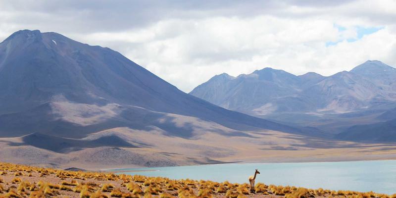 全自动咖啡机终极对决:从德龙到朱利安,谁做出的咖啡更接近咖啡馆品质?