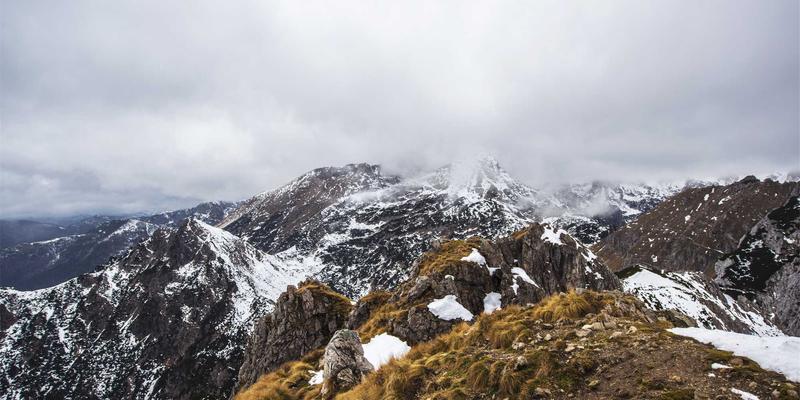 微单相机镜头群深度分析:不同品牌生态系统的扩展性与选购指南