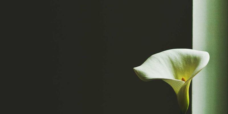 高端厨电三件套终极横评:方太、老板、西门子,谁才是2024年最值得投资的厨房中心?